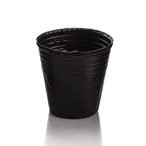 100pcs Plastic Nursery Pots – Medium