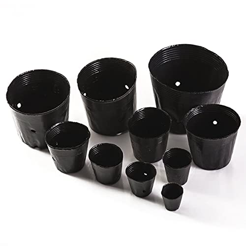 100pcs Plastic Nursery Pots – Medium