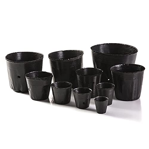 100pcs Plastic Nursery Pots – Medium