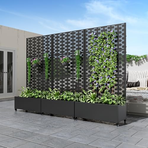Casaphoria Metal Raised Garden Bed with Trellis