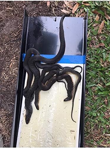 Lift-Top Size 32"x10"x3"W/ 3 Large Catch Inserts