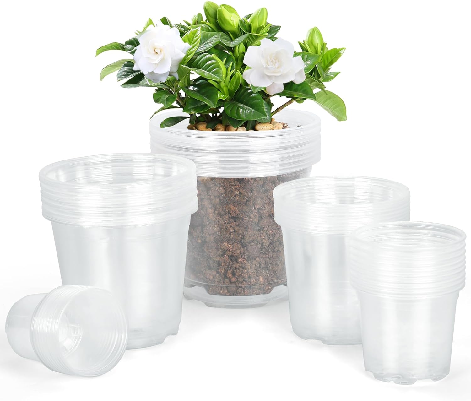 “45 Pack Clear Plastic Pots, 3–7 Inch”
