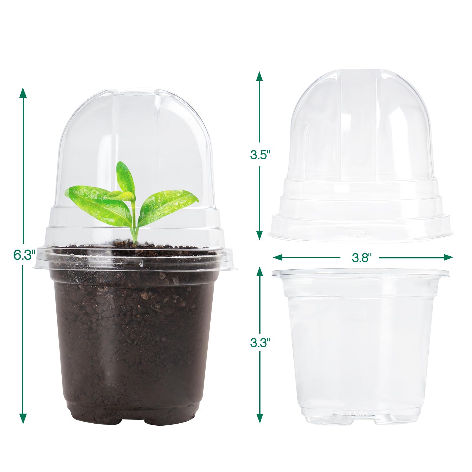 "30-Pack Clear Nursery Pots with Drainage"