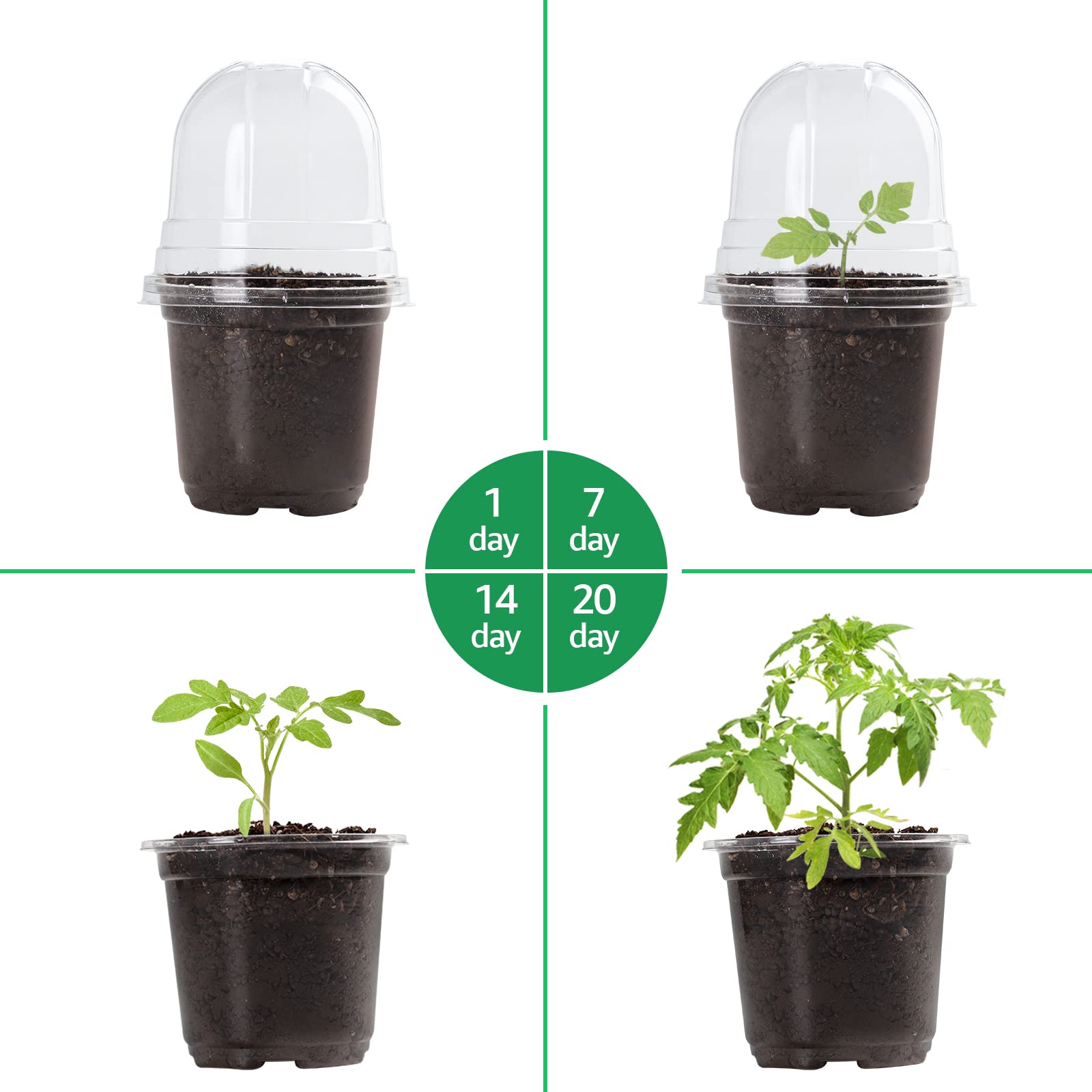 "30-Pack Clear Nursery Pots with Drainage"