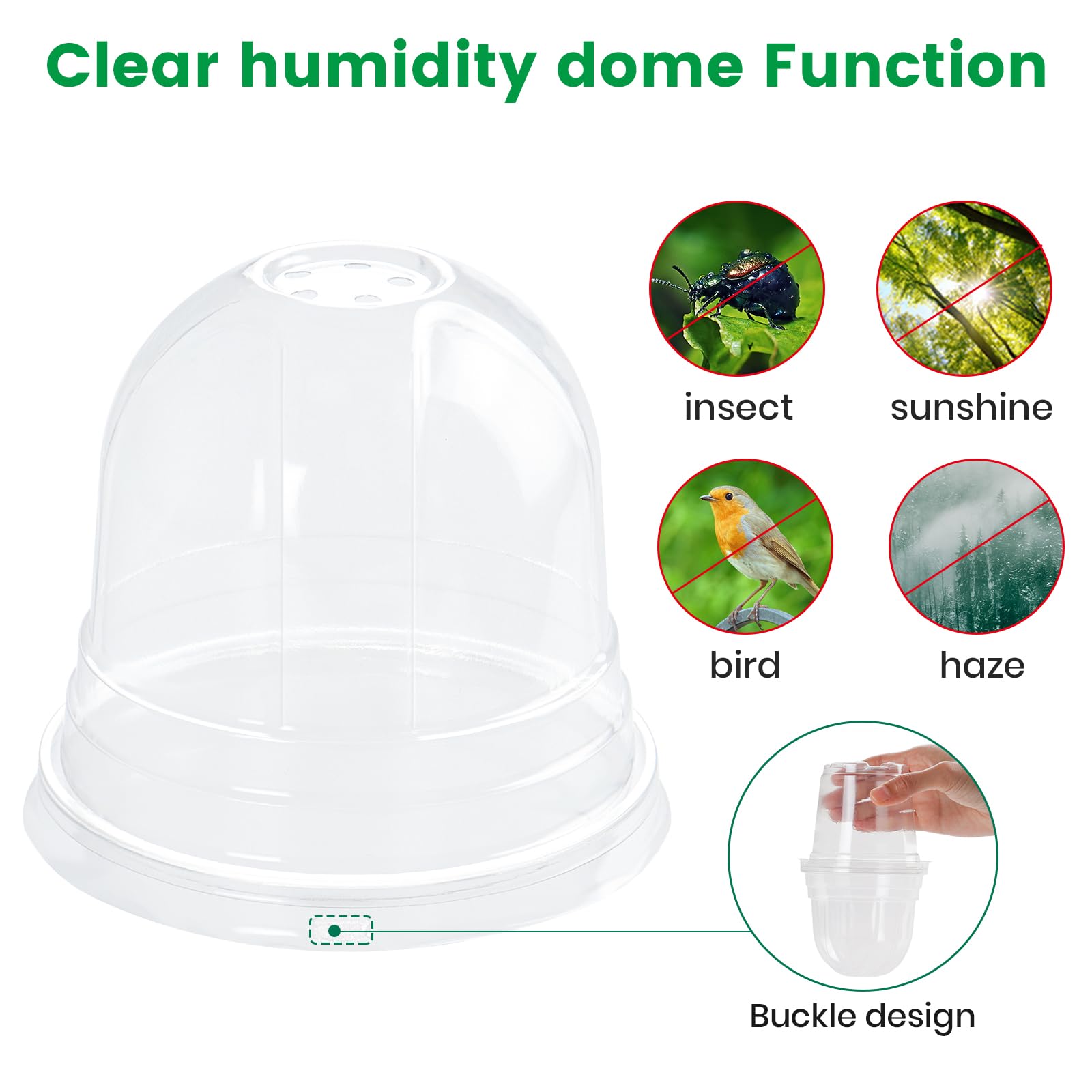 "30-Pack Clear Nursery Pots with Drainage"