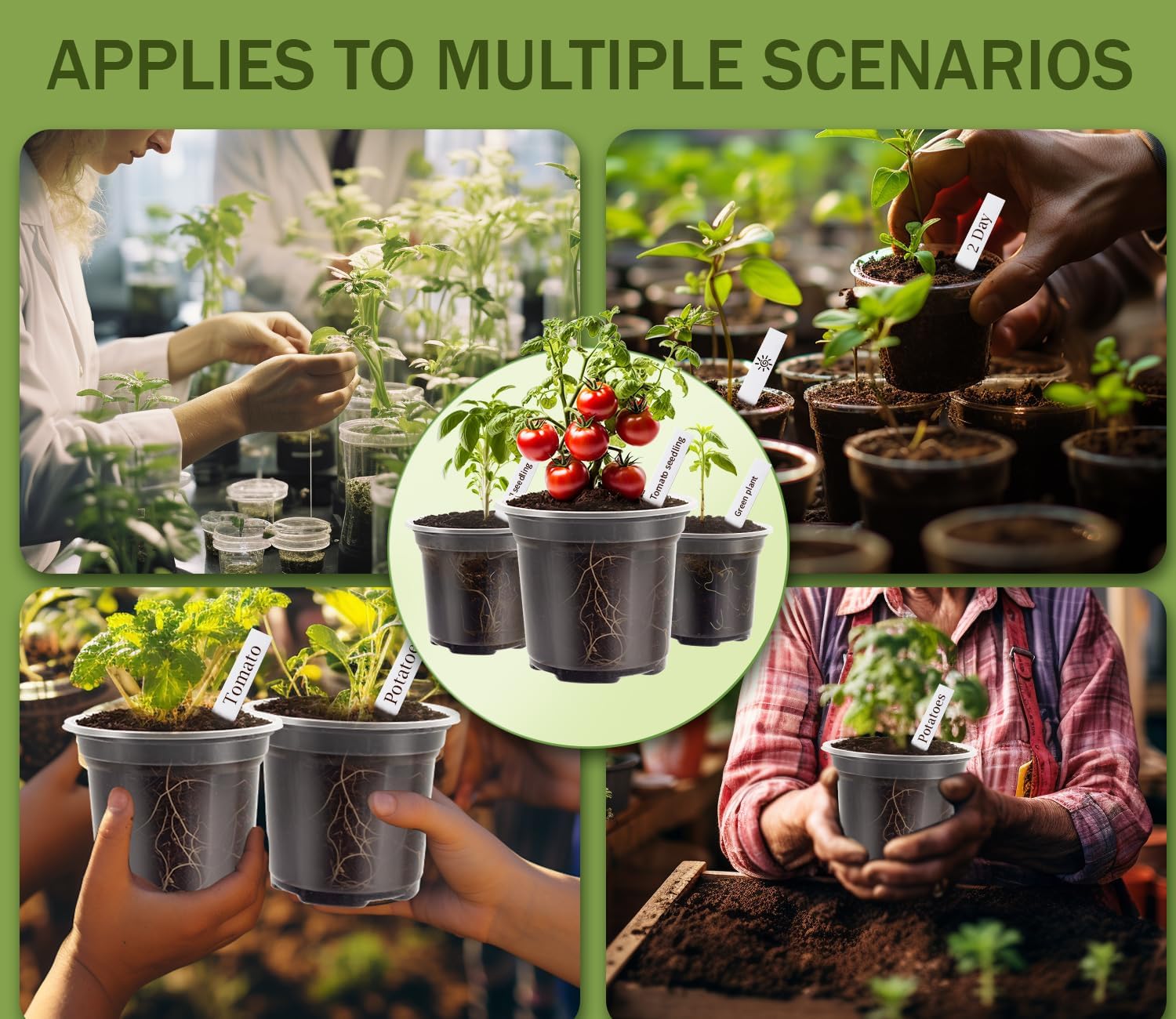 "30 Clear Nursery Pots with Labels – 3.5/4/5 Inch"