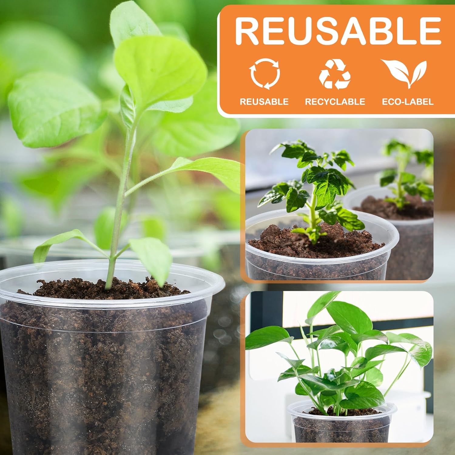 “45 Pack Clear Plastic Pots, 3–7 Inch”