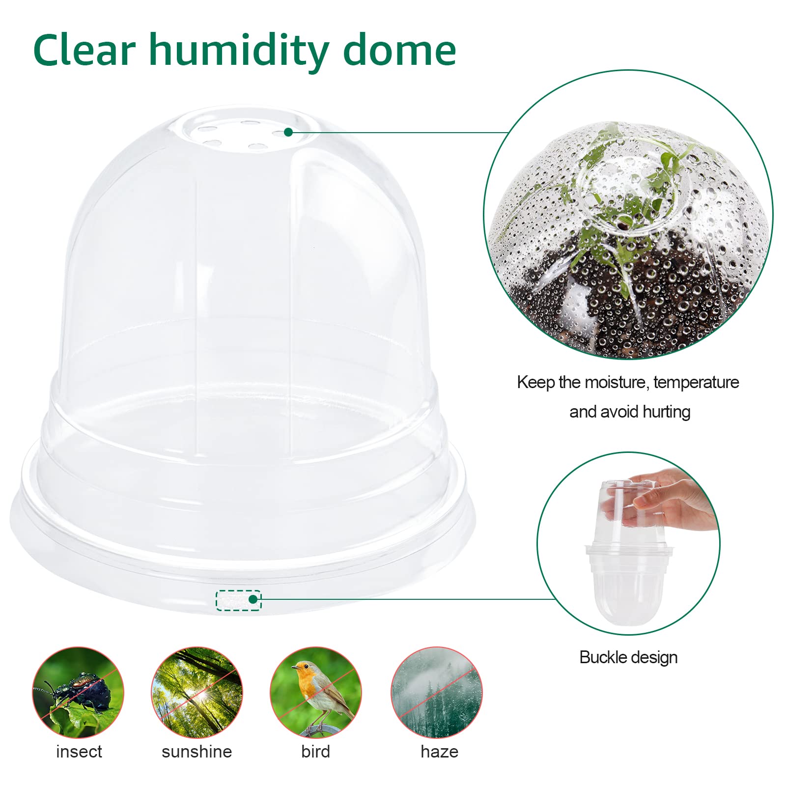 "30-Pack Clear Nursery Pots with Drainage"