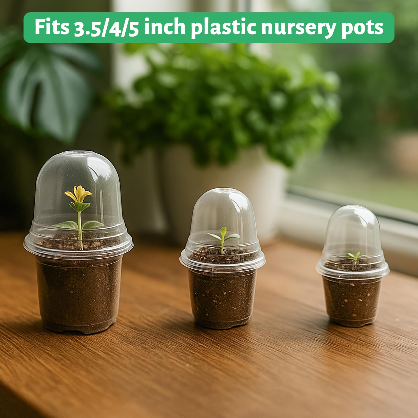 "30-Pack Clear Nursery Pots with Drainage"