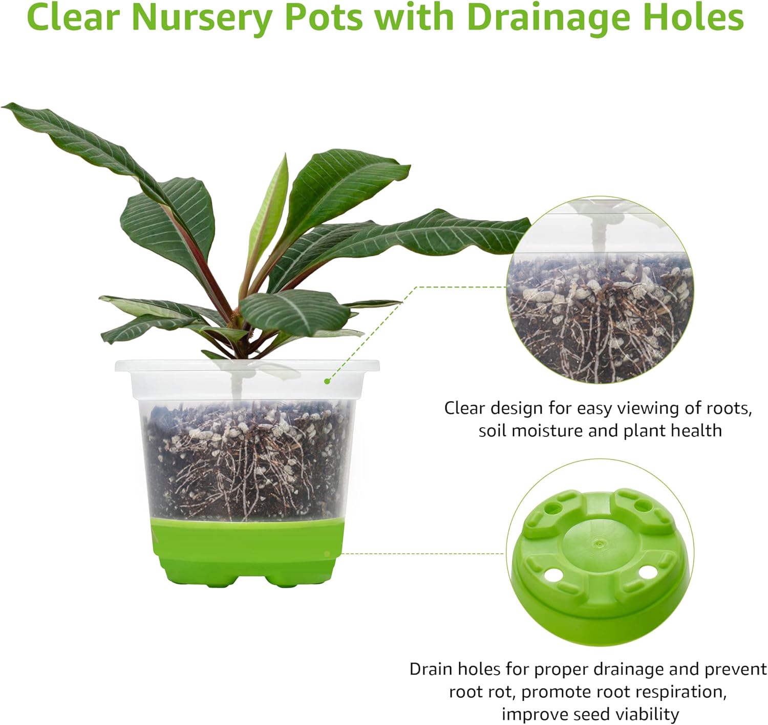 MIXC 30-Pack 4" Clear Pots