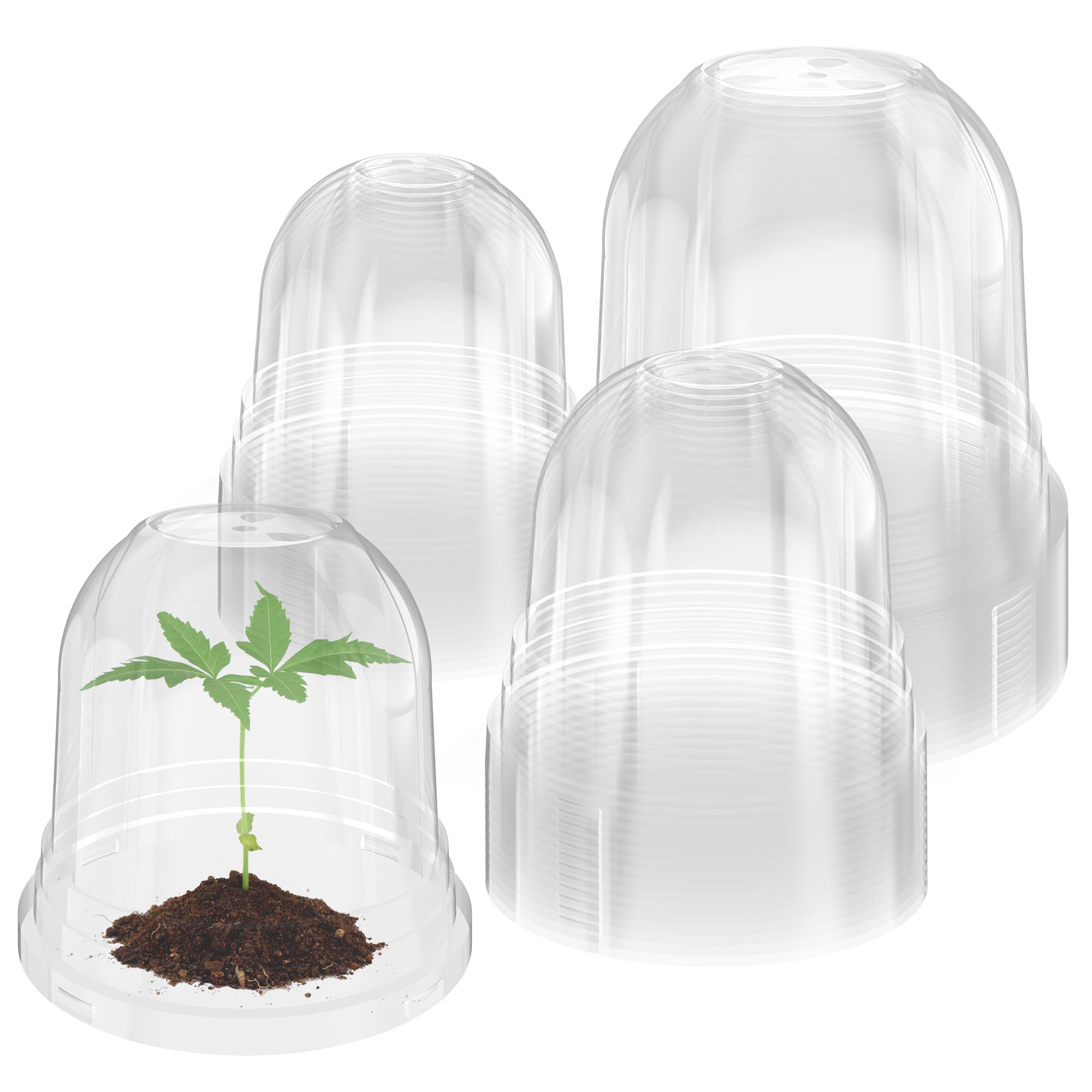 "30-Pack Clear Nursery Pots with Drainage"