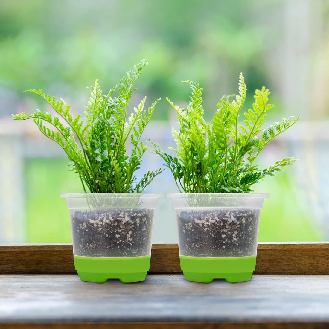 MIXC 30-Pack 4" Clear Pots