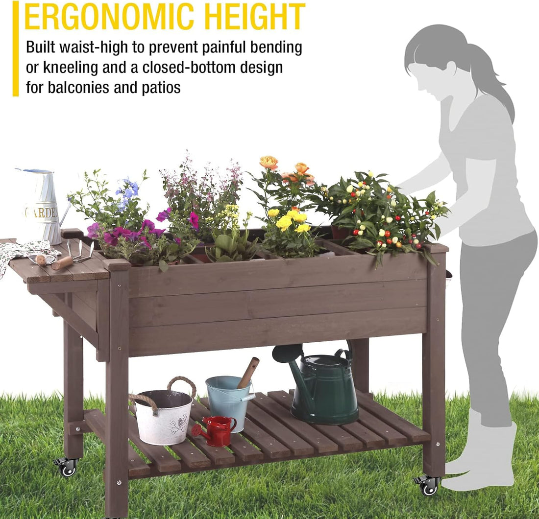 Aivituvin Raised Garden Bed on Wheels with Shelf