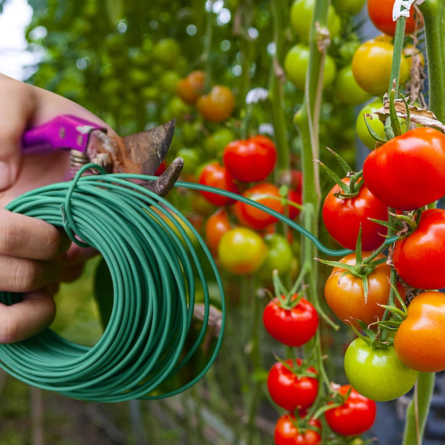 "YDSL 100ft Soft Plant Ties, 3-Pack (2.5mm)"