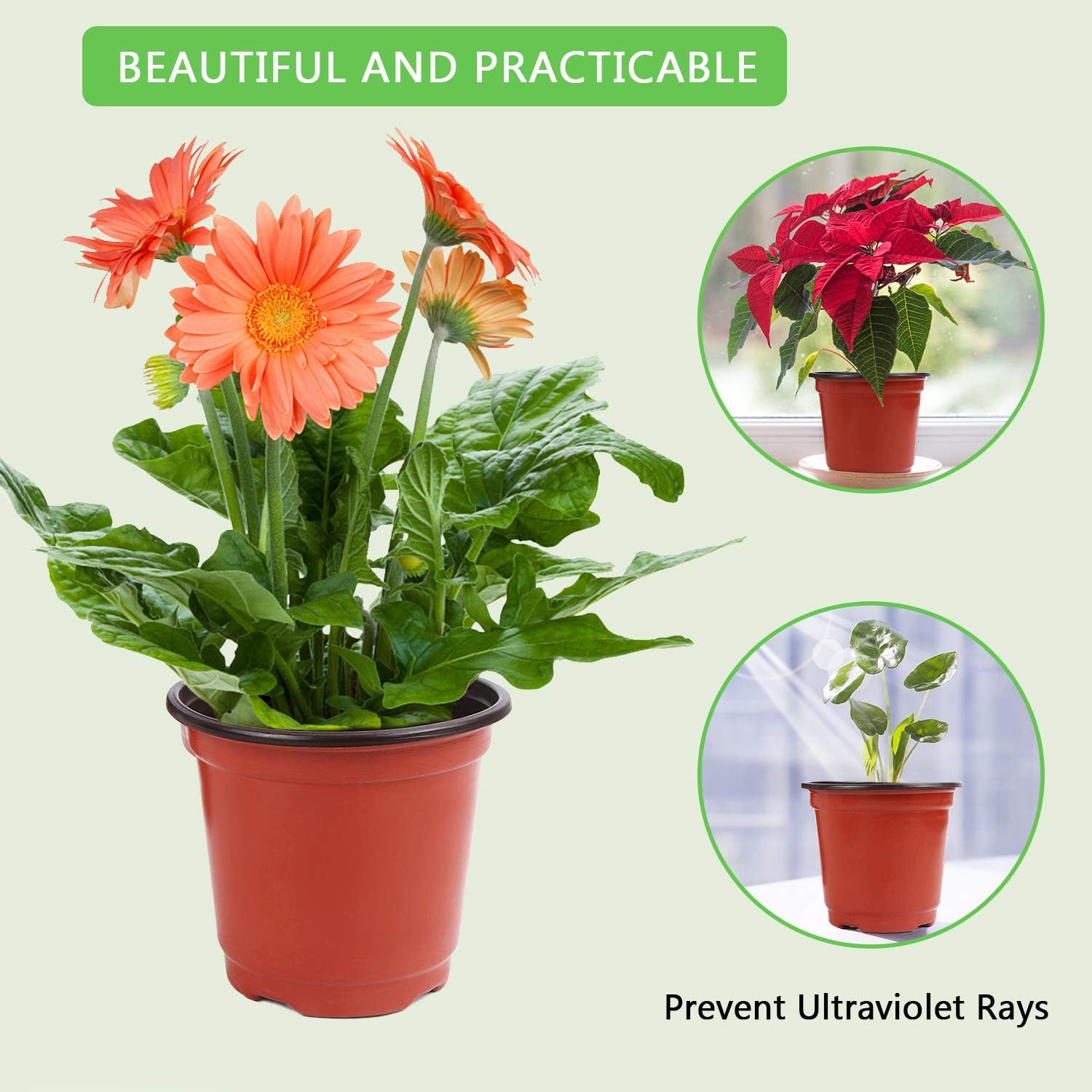 "Augshy 220 4” Plant Pots with Labels"