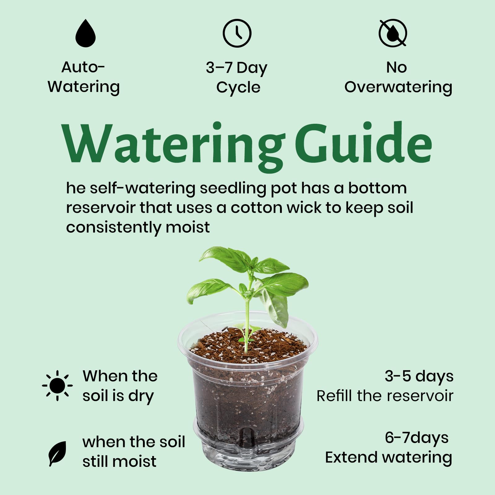 "30-Pack Clear Nursery Pots with Drainage"