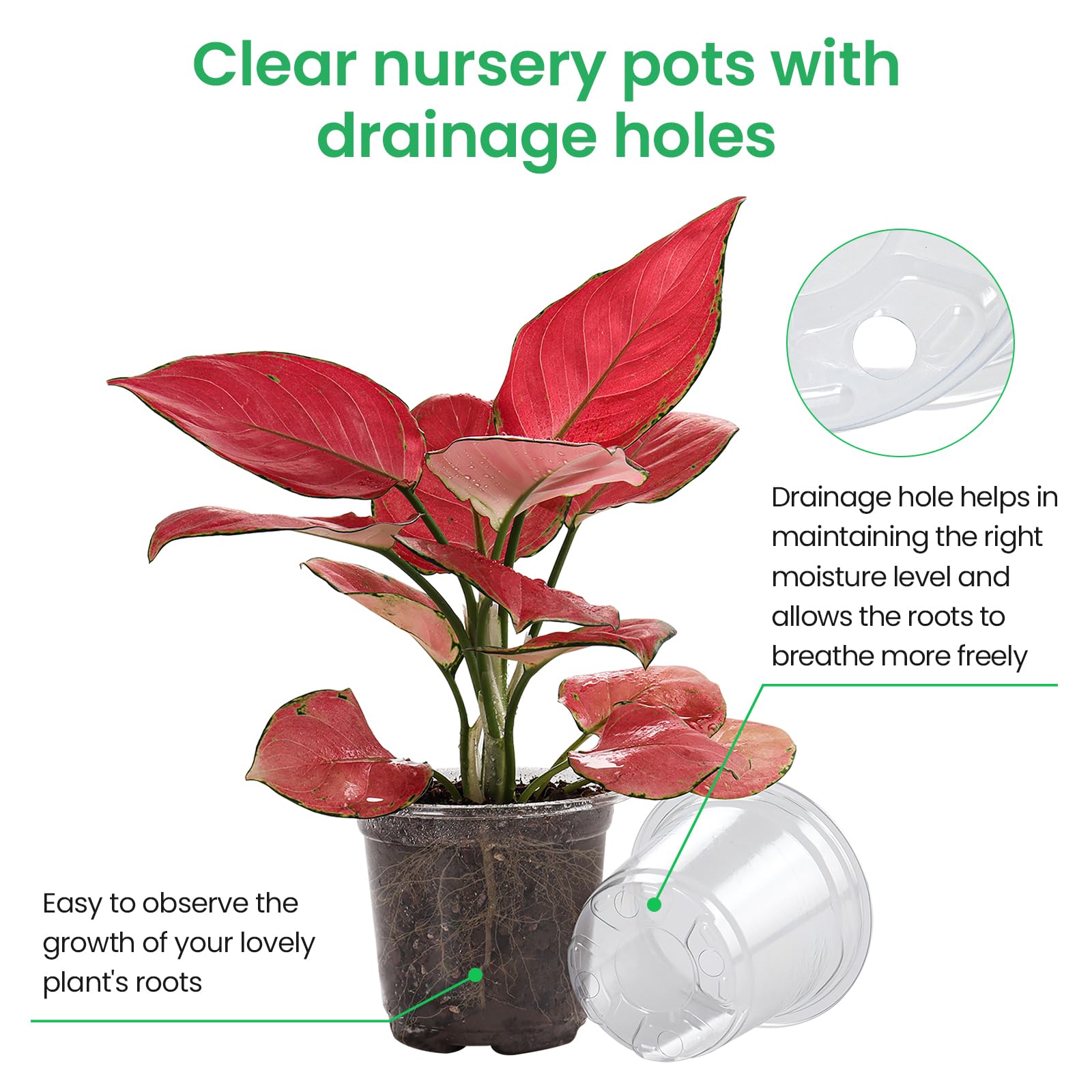 "30-Pack Clear Nursery Pots with Drainage"