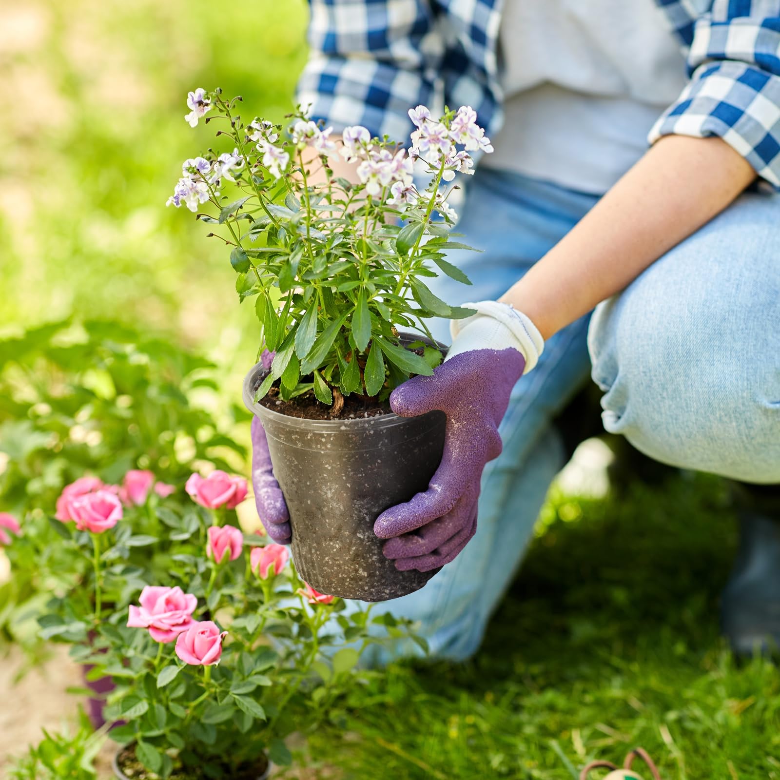 "30-Pack Clear Nursery Pots with Drainage"