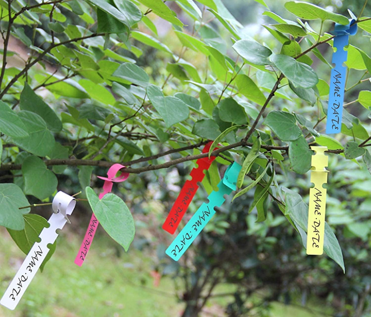 3-in-1 Professional Grafting Tool Kit for Fruit Trees