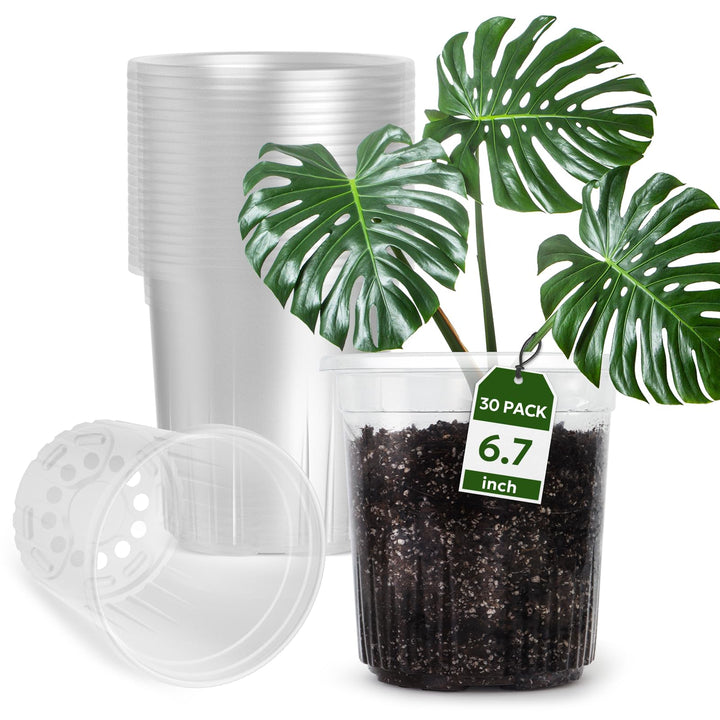 "30-Pack Clear Nursery Pots with Drainage"