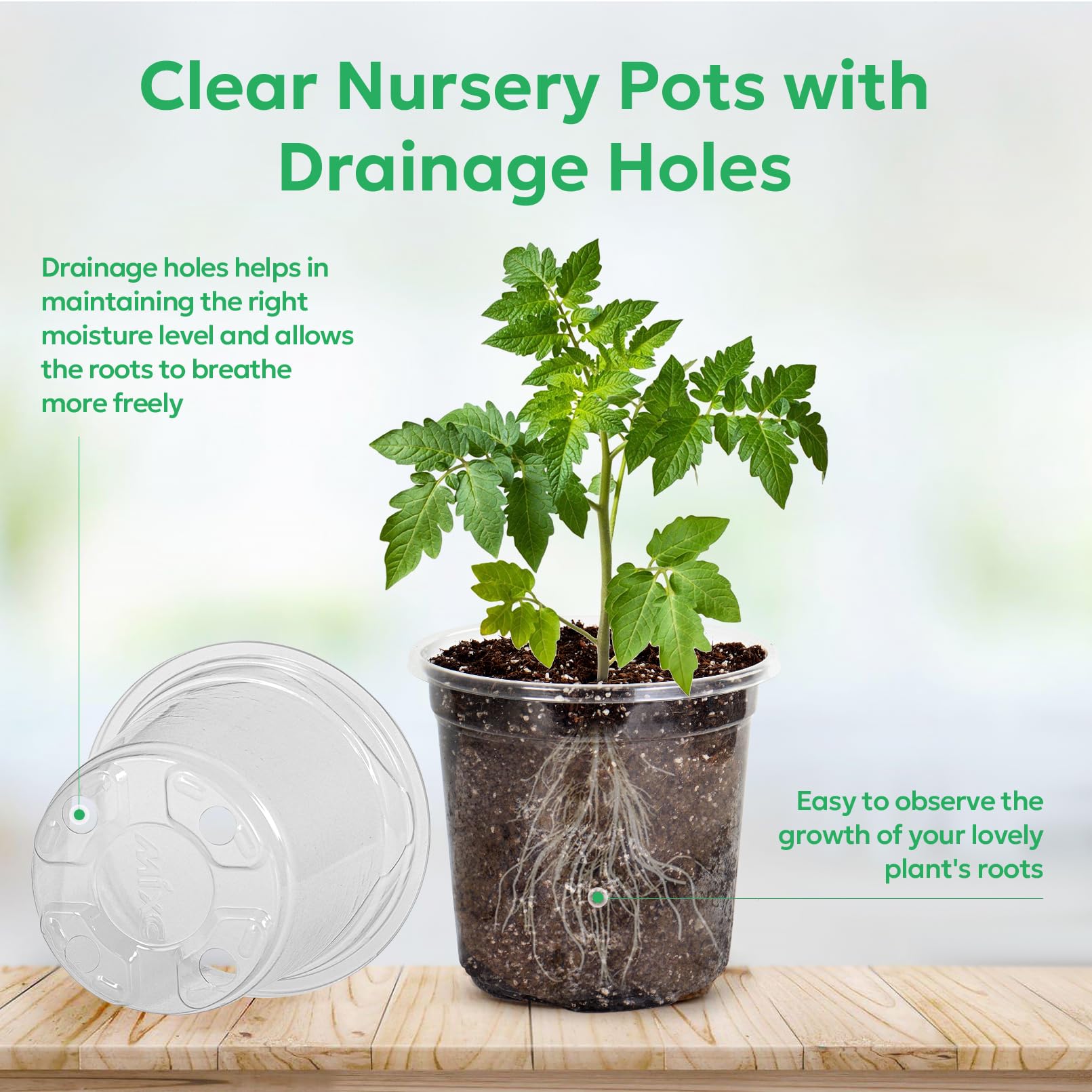 "30-Pack Clear Nursery Pots with Drainage"