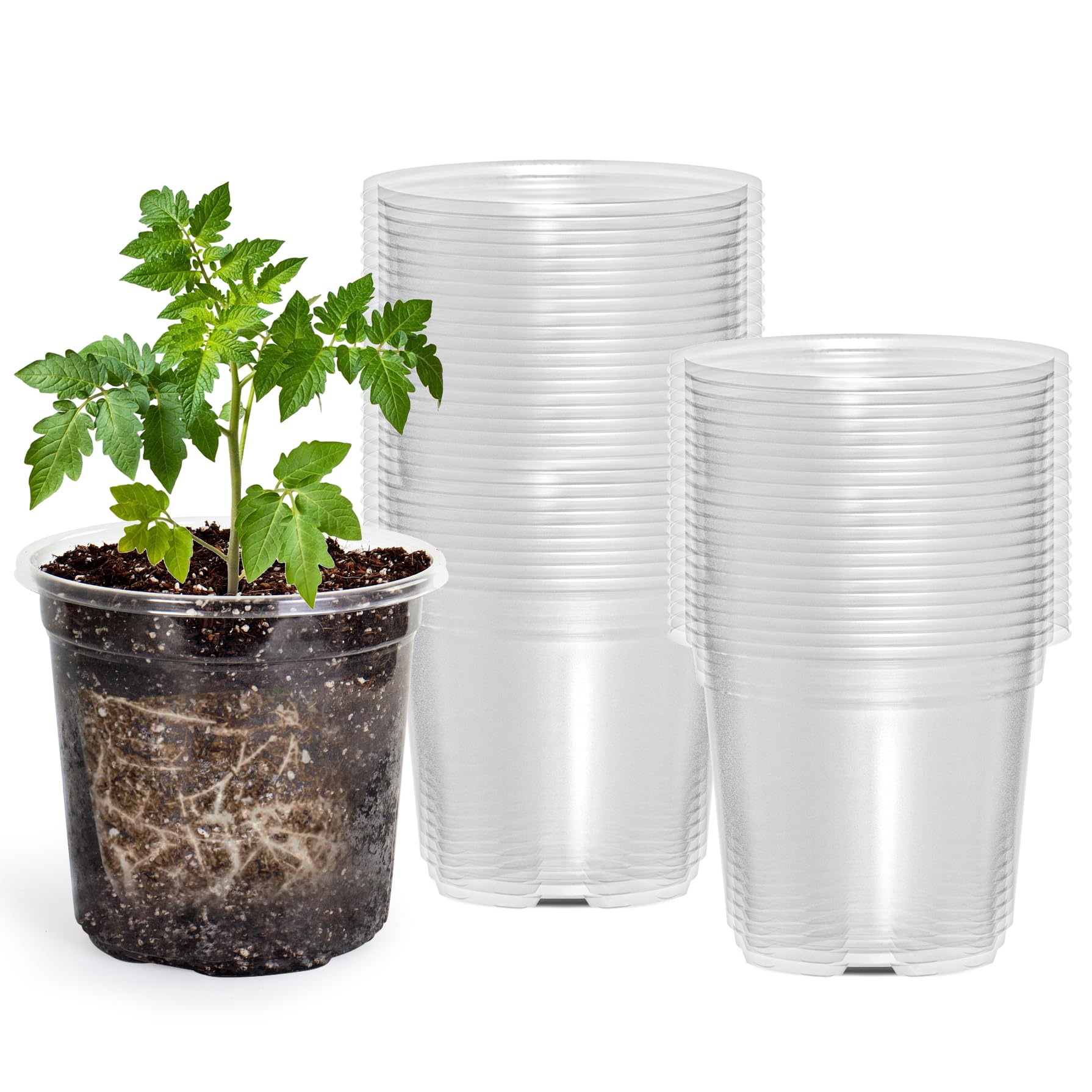 "30-Pack Clear Nursery Pots with Drainage"