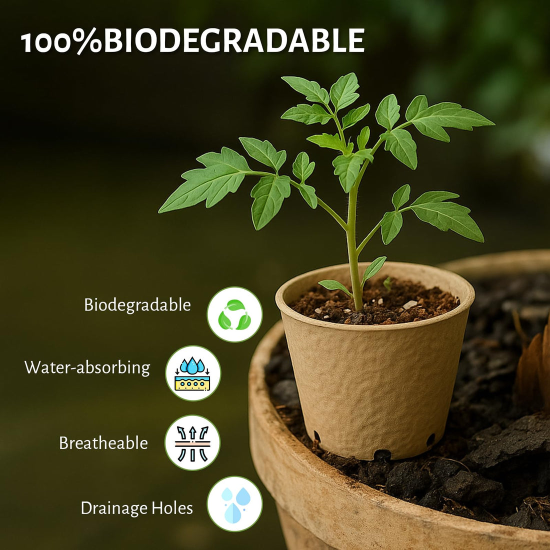 "30-Pack Clear Nursery Pots with Drainage"