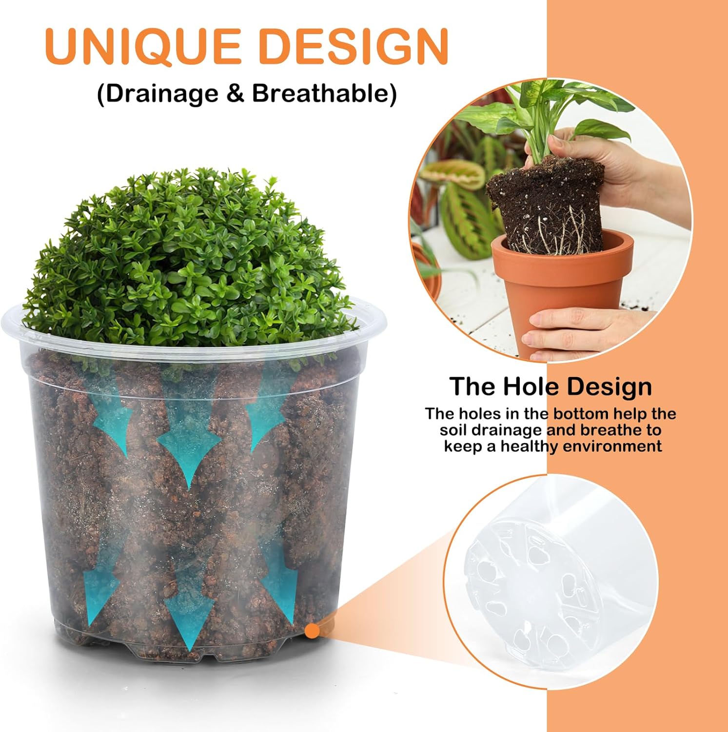 “45 Pack Clear Plastic Pots, 3–7 Inch”