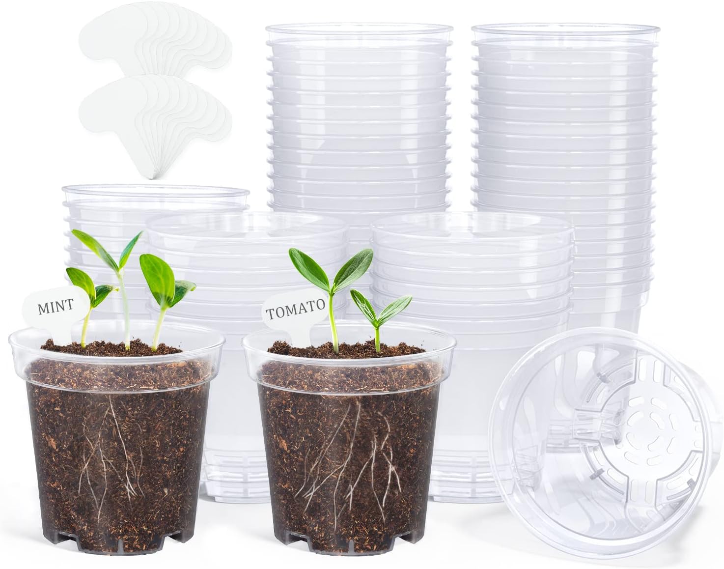 “Homenote 3" Clear Nursery Pots (60 Pack)”