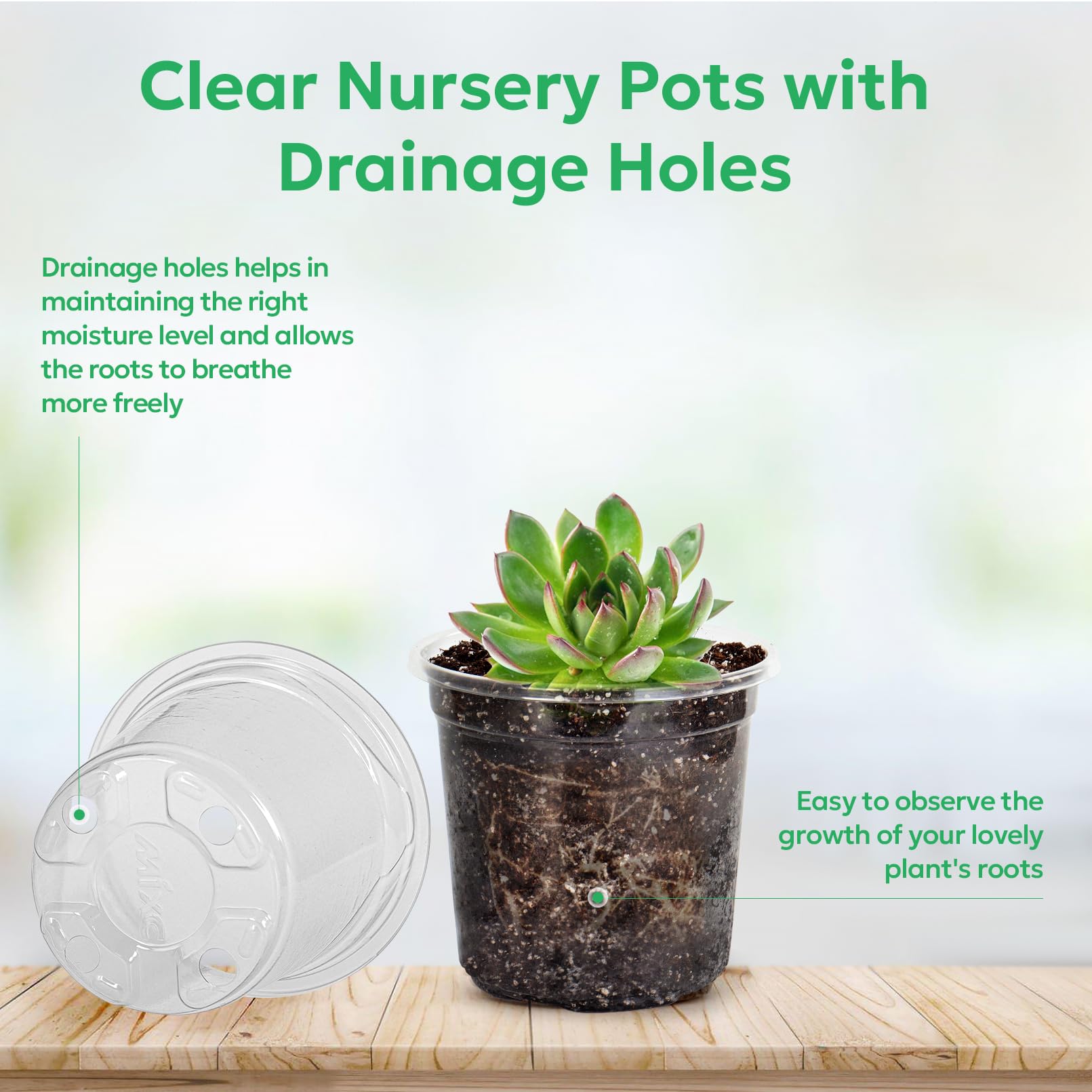 "30-Pack Clear Nursery Pots with Drainage"