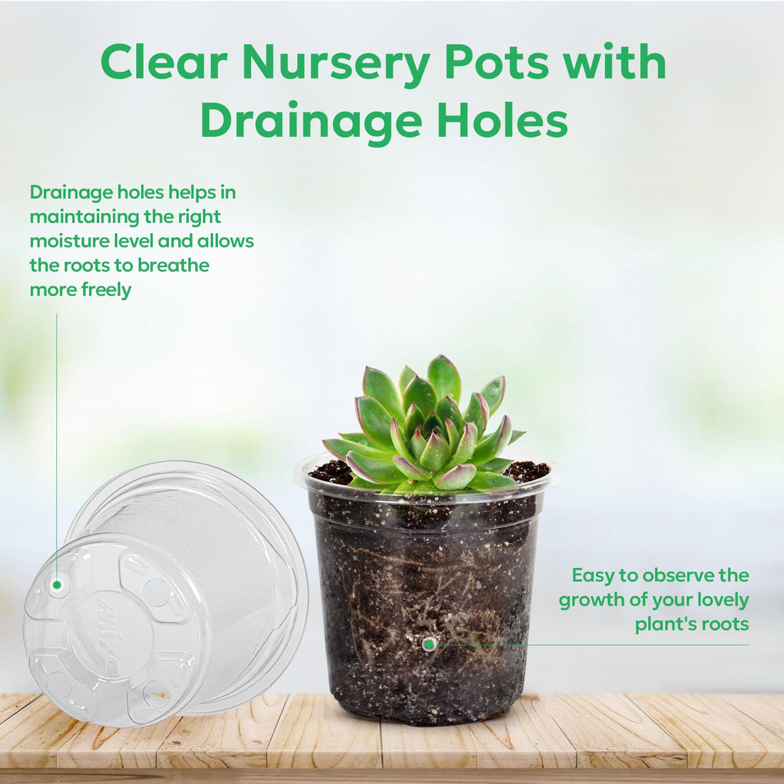 "30-Pack Clear Nursery Pots with Drainage"