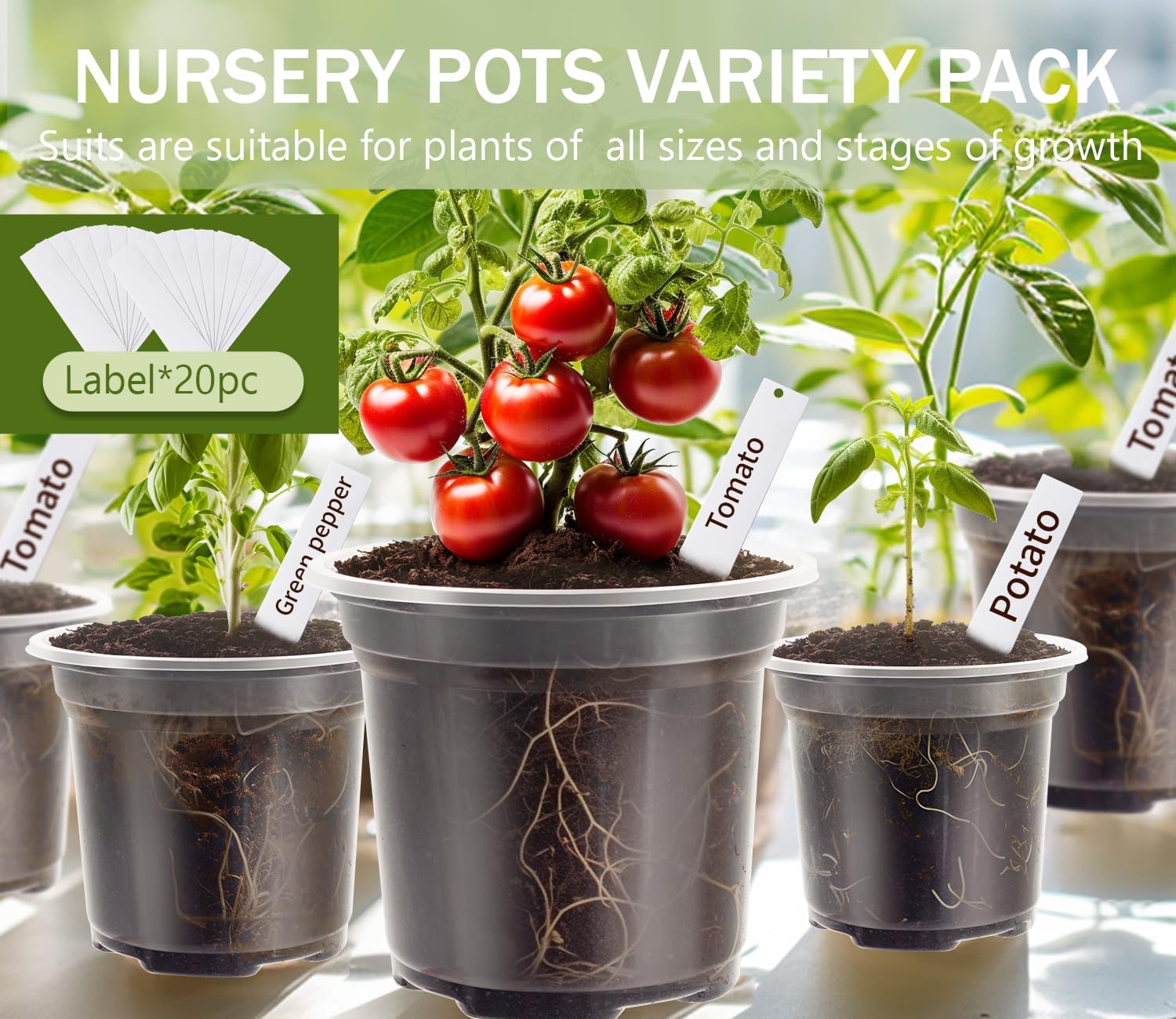 "30 Clear Nursery Pots with Labels – 3.5/4/5 Inch"