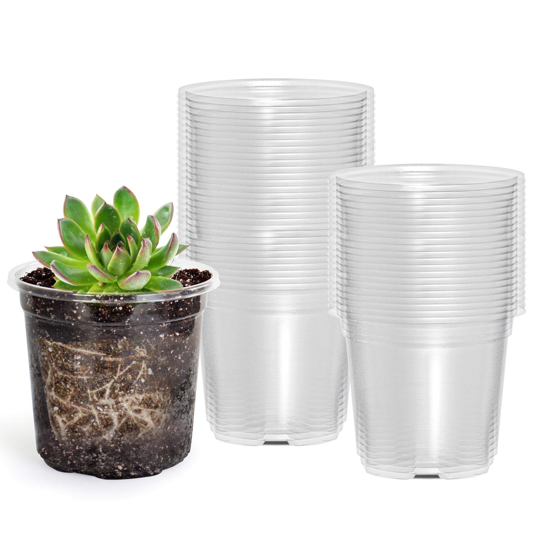 "30-Pack Clear Nursery Pots with Drainage"