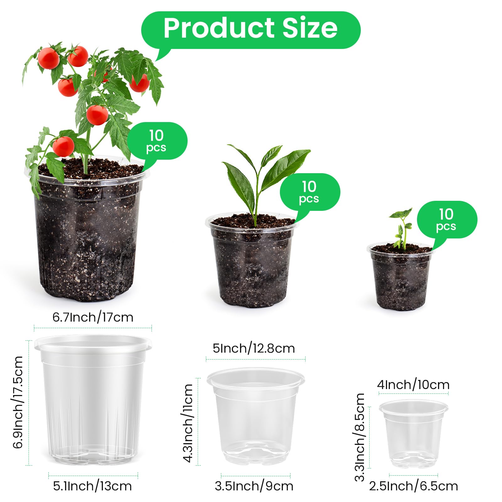 "30-Pack Clear Nursery Pots with Drainage"