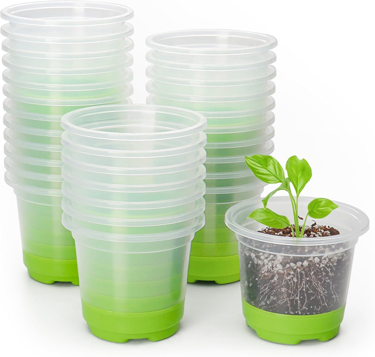 MIXC 30-Pack 4" Clear Pots