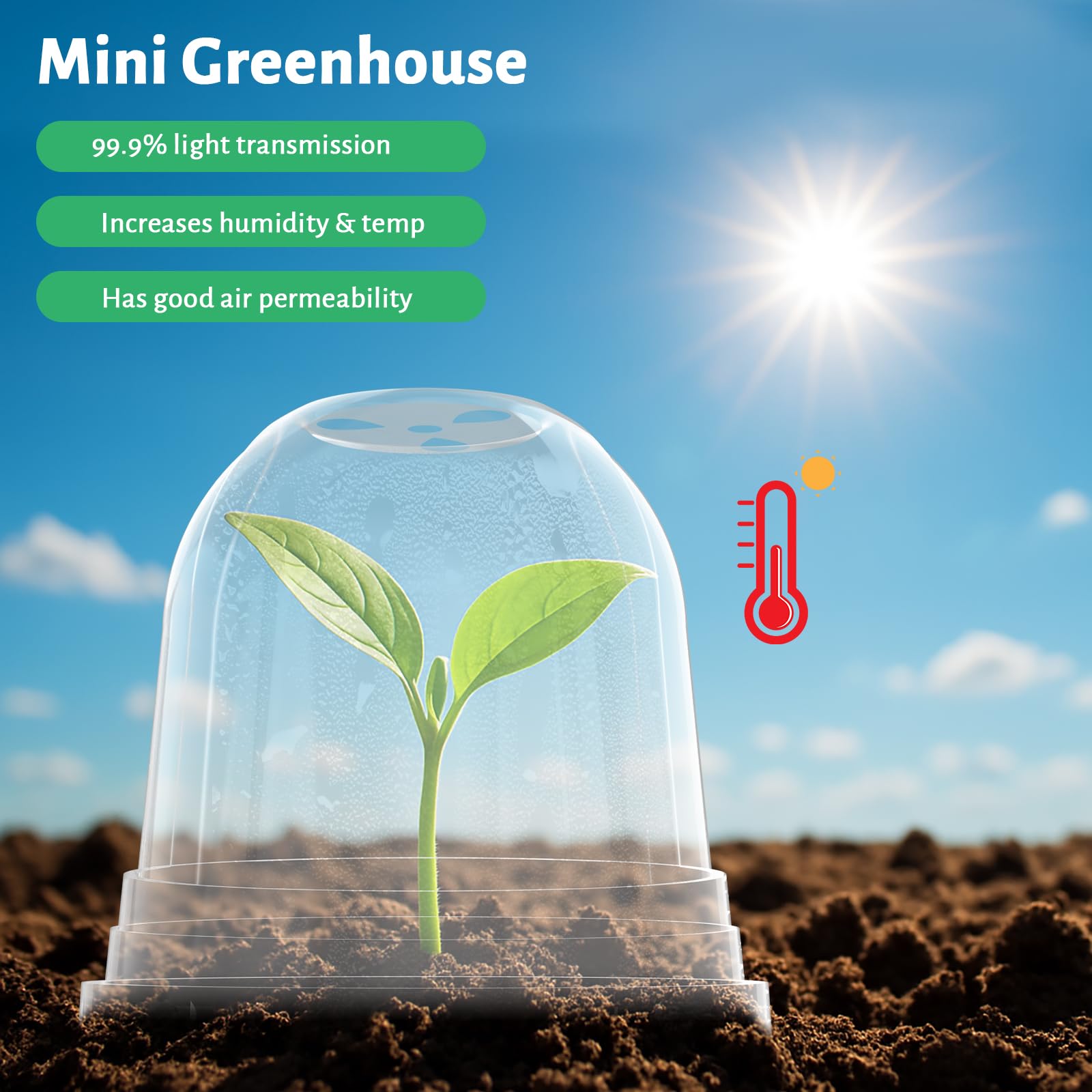 "30-Pack Clear Nursery Pots with Drainage"