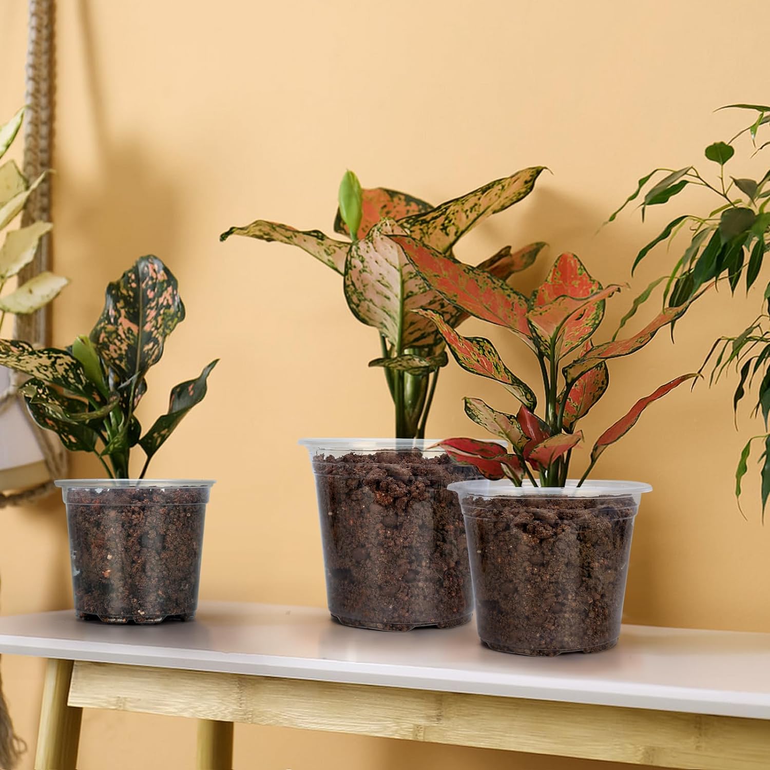 “45 Pack Clear Plastic Pots, 3–7 Inch”