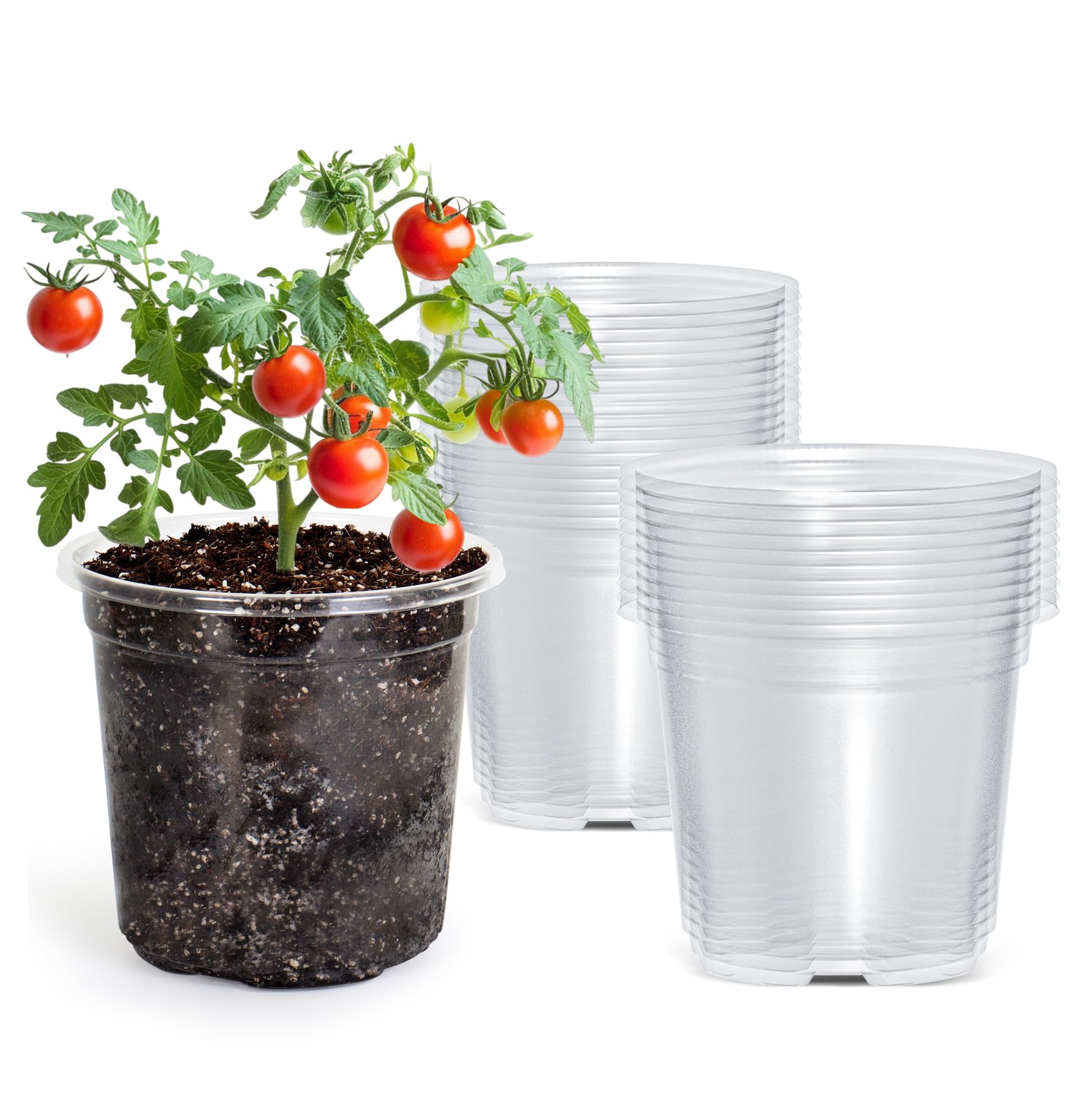 "30-Pack Clear Nursery Pots with Drainage"