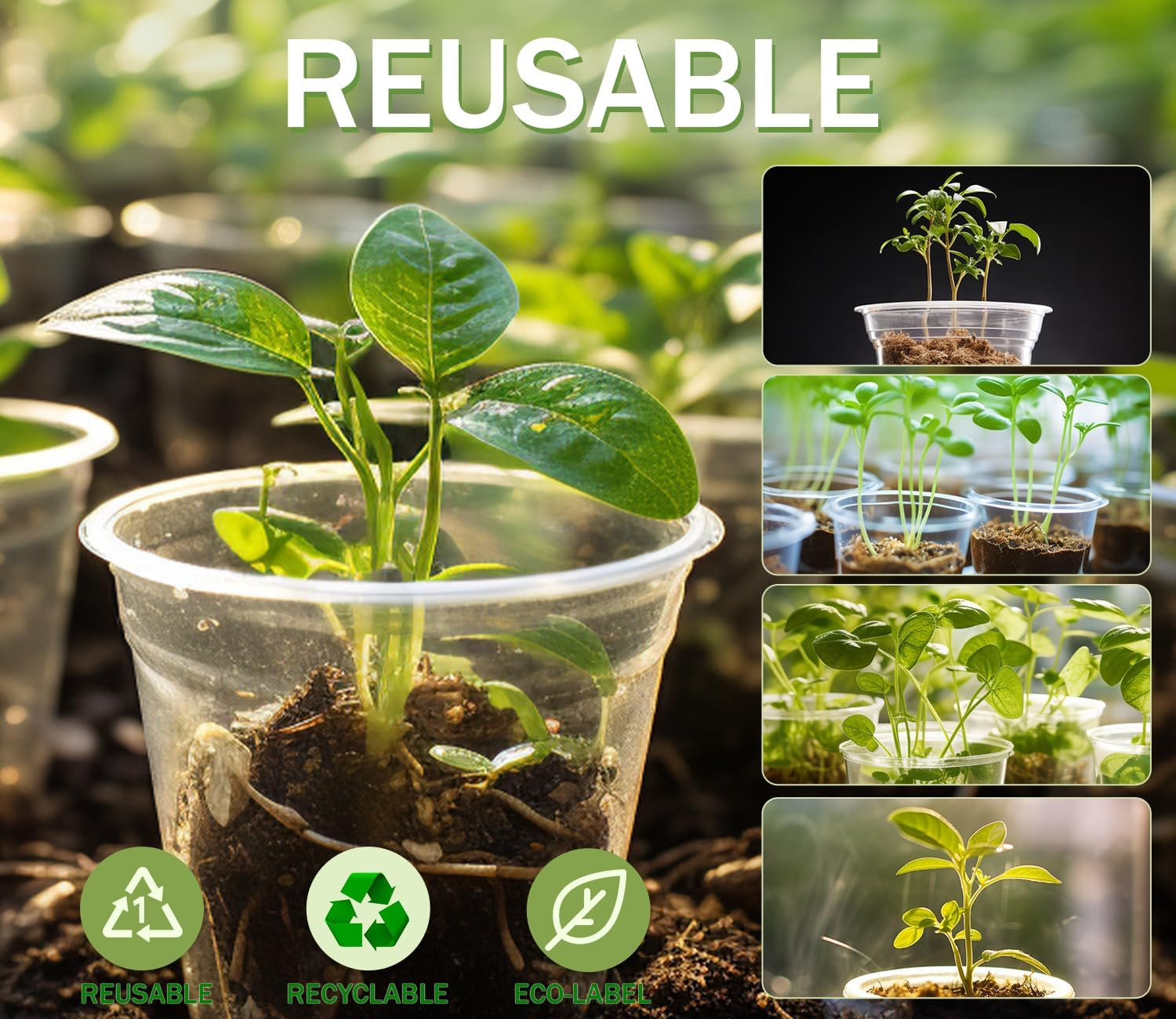 "30 Clear Nursery Pots with Labels – 3.5/4/5 Inch"