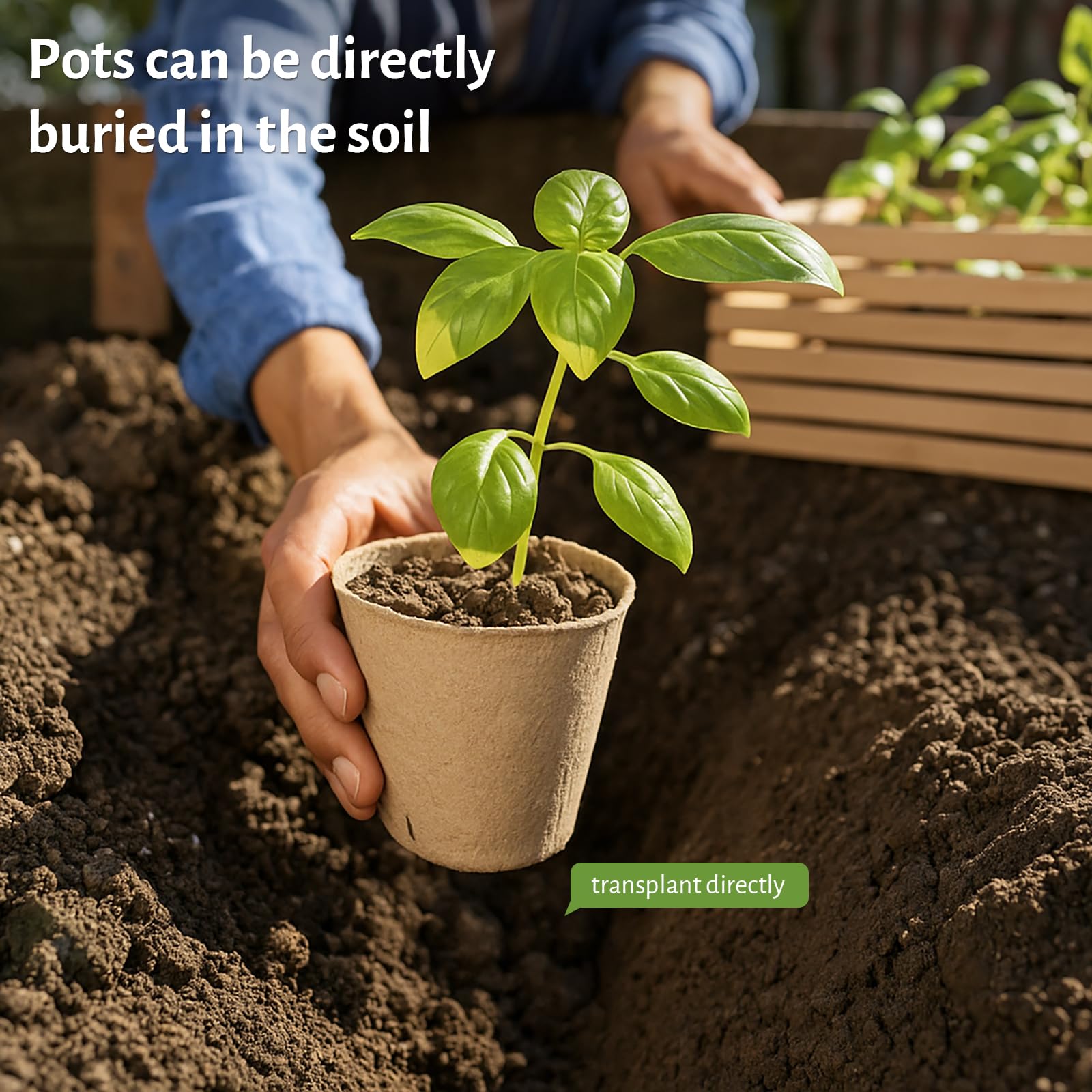 "30-Pack Clear Nursery Pots with Drainage"