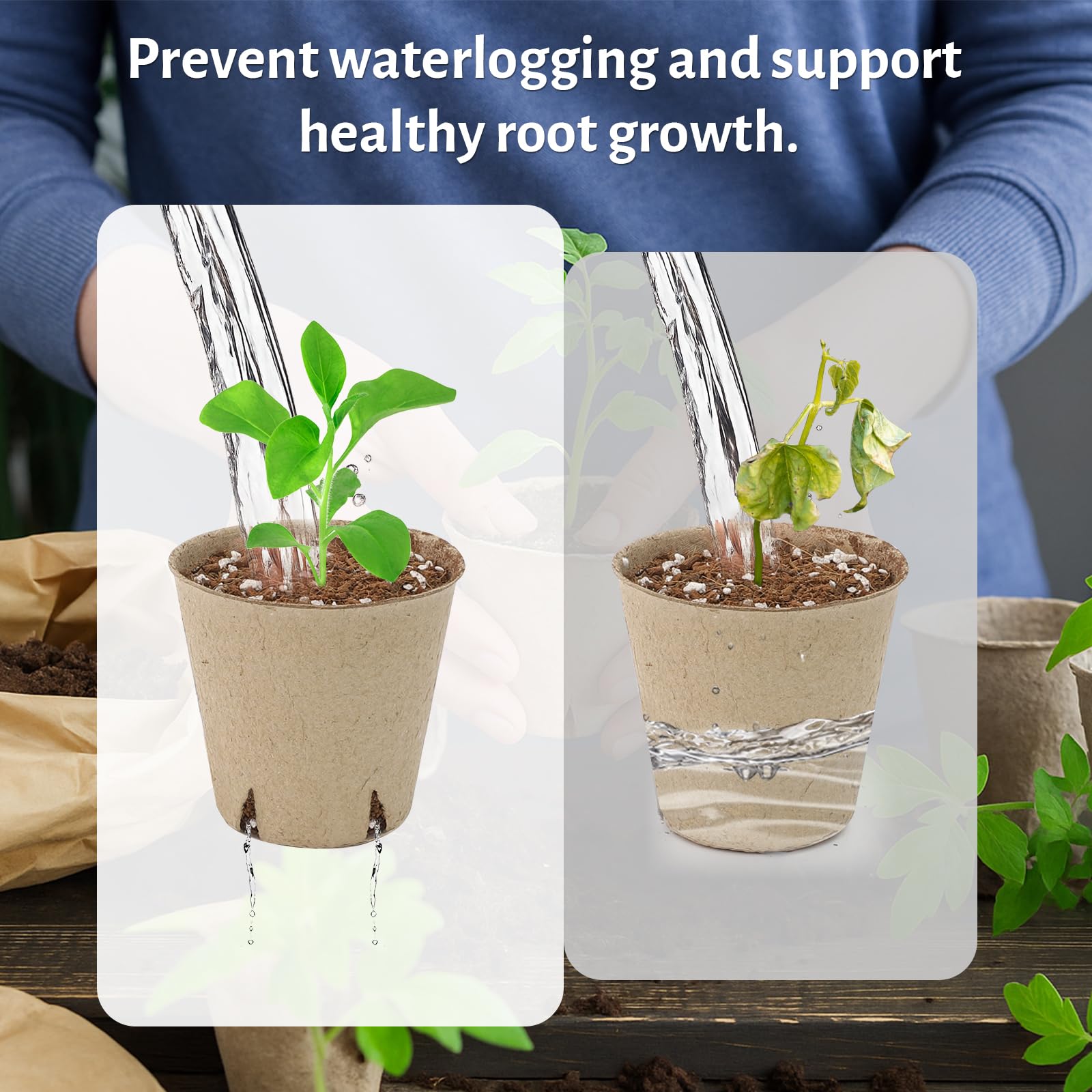 "30-Pack Clear Nursery Pots with Drainage"