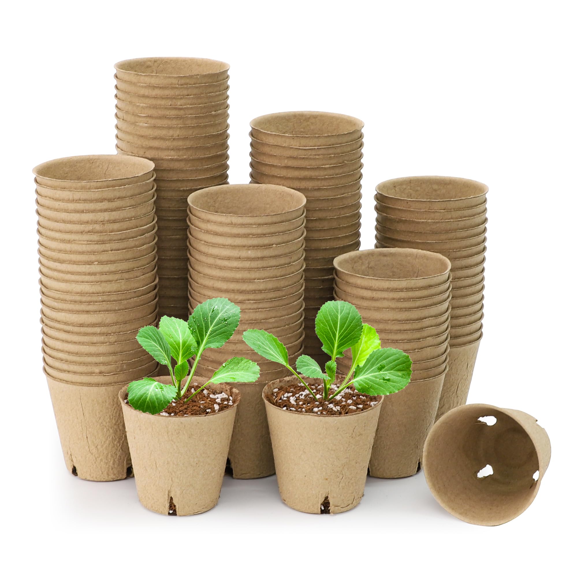 "30-Pack Clear Nursery Pots with Drainage"