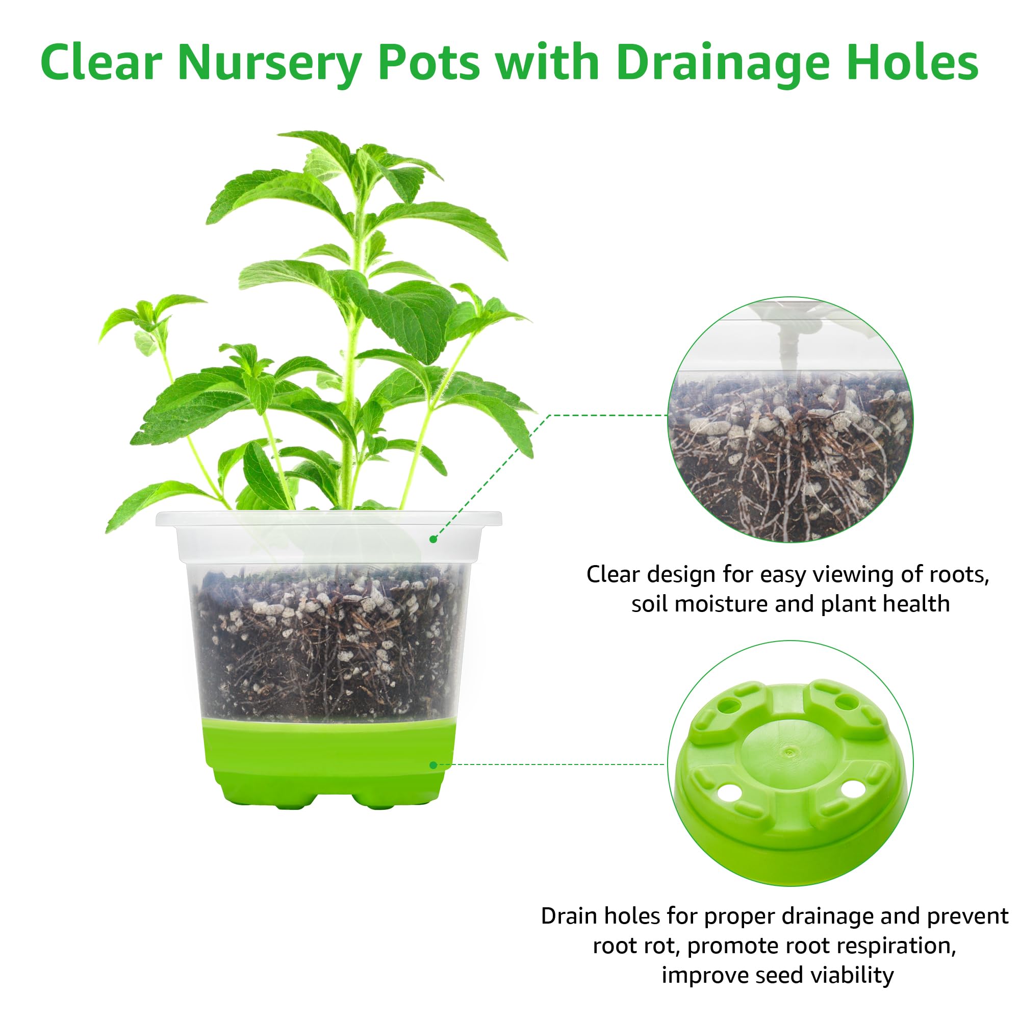 "30-Pack Clear Nursery Pots with Drainage"