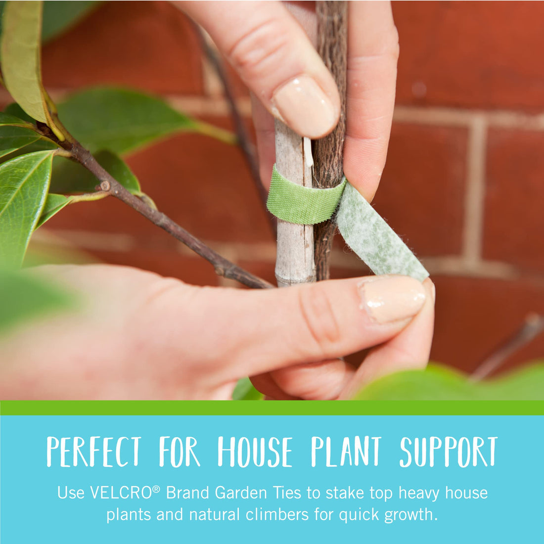 VELCRO Plant Ties, 75ft Green Tape