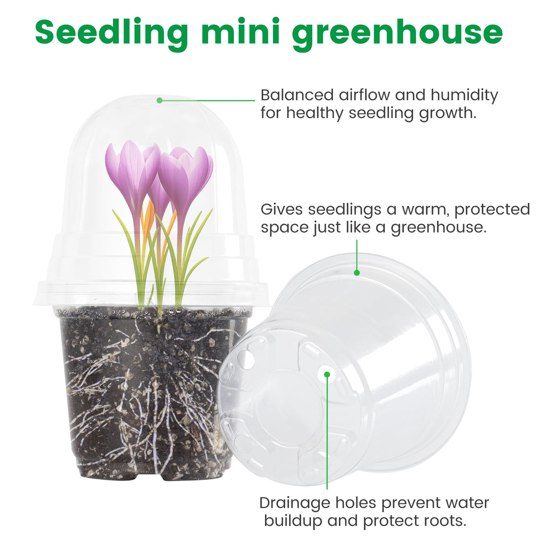 "30-Pack Clear Nursery Pots with Drainage"