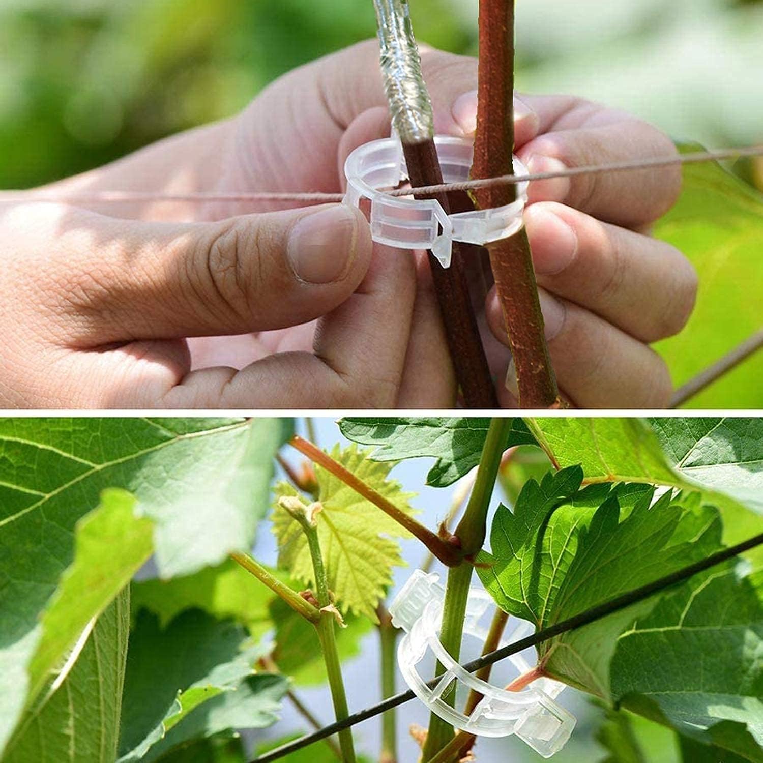 3-in-1 Professional Grafting Tool Kit for Fruit Trees