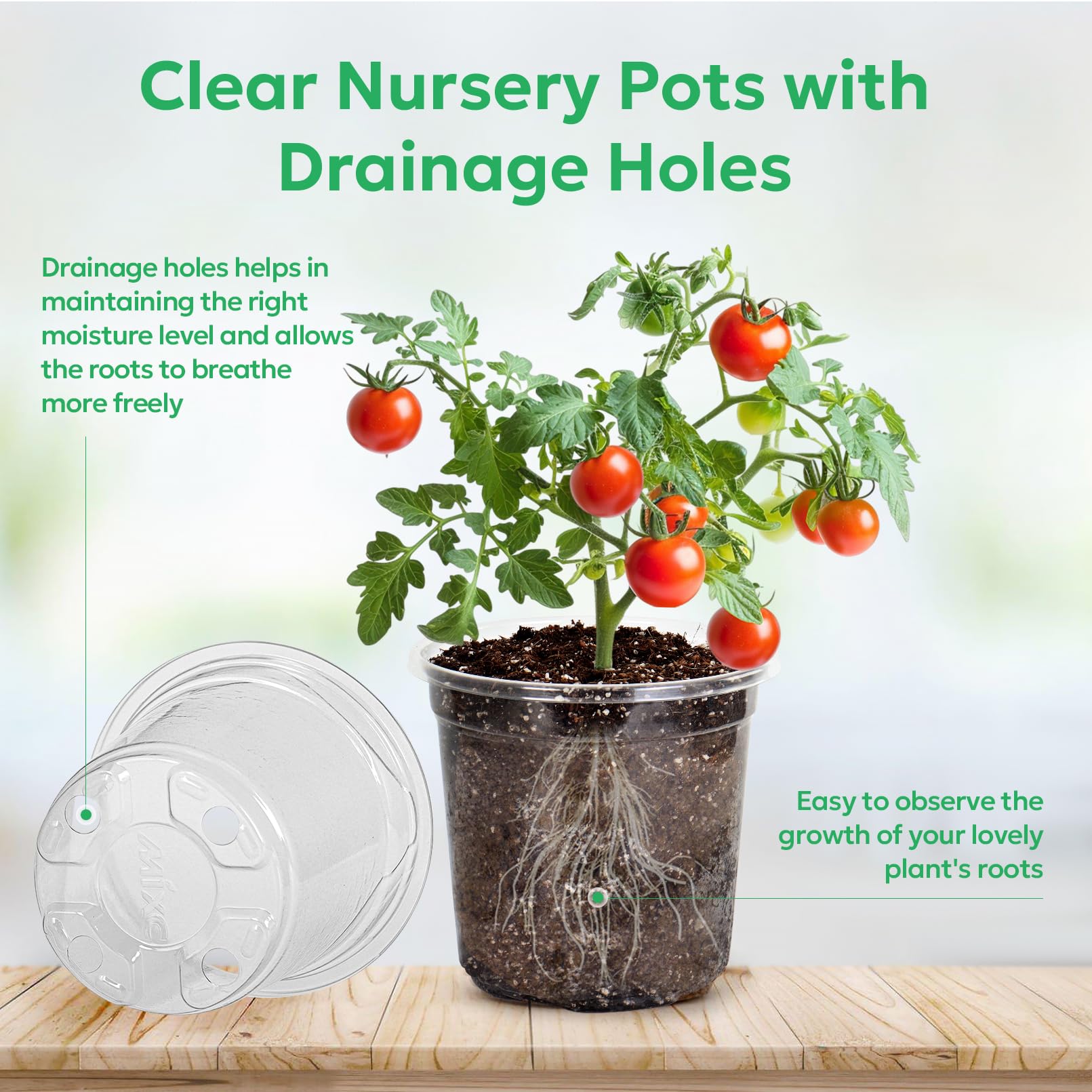 "30-Pack Clear Nursery Pots with Drainage"