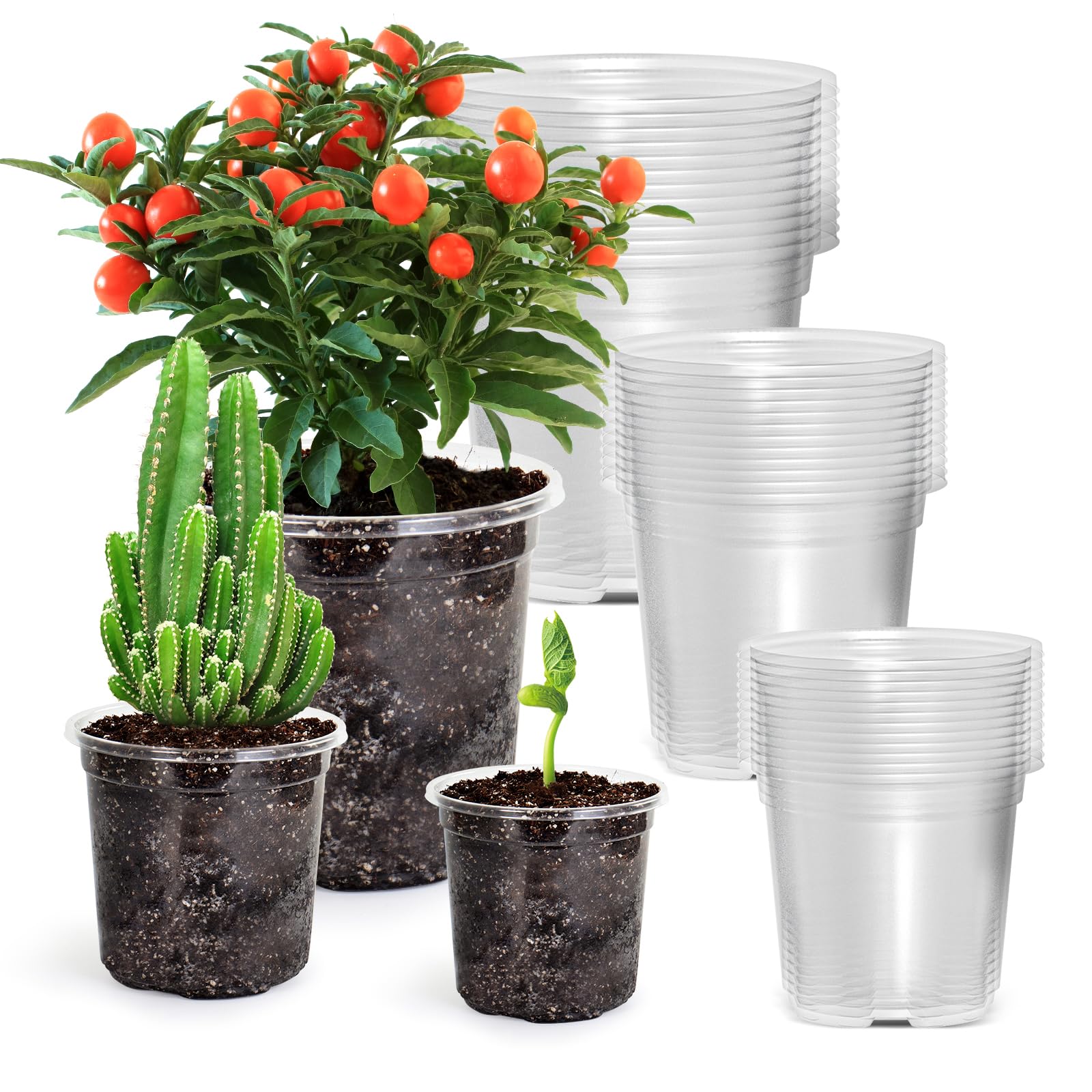"30-Pack Clear Nursery Pots with Drainage"