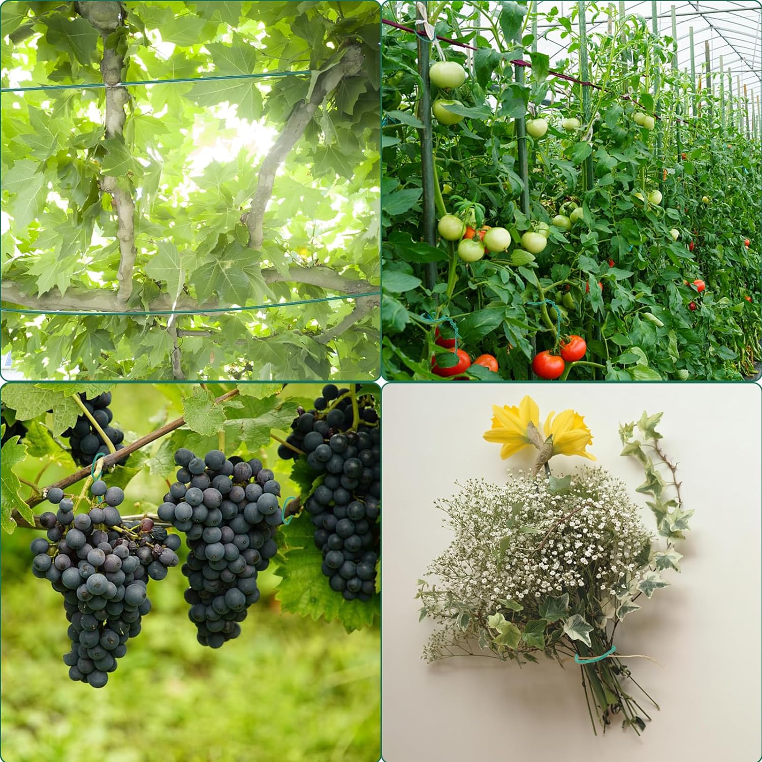 "YDSL 100ft Soft Plant Ties, 3-Pack (2.5mm)"