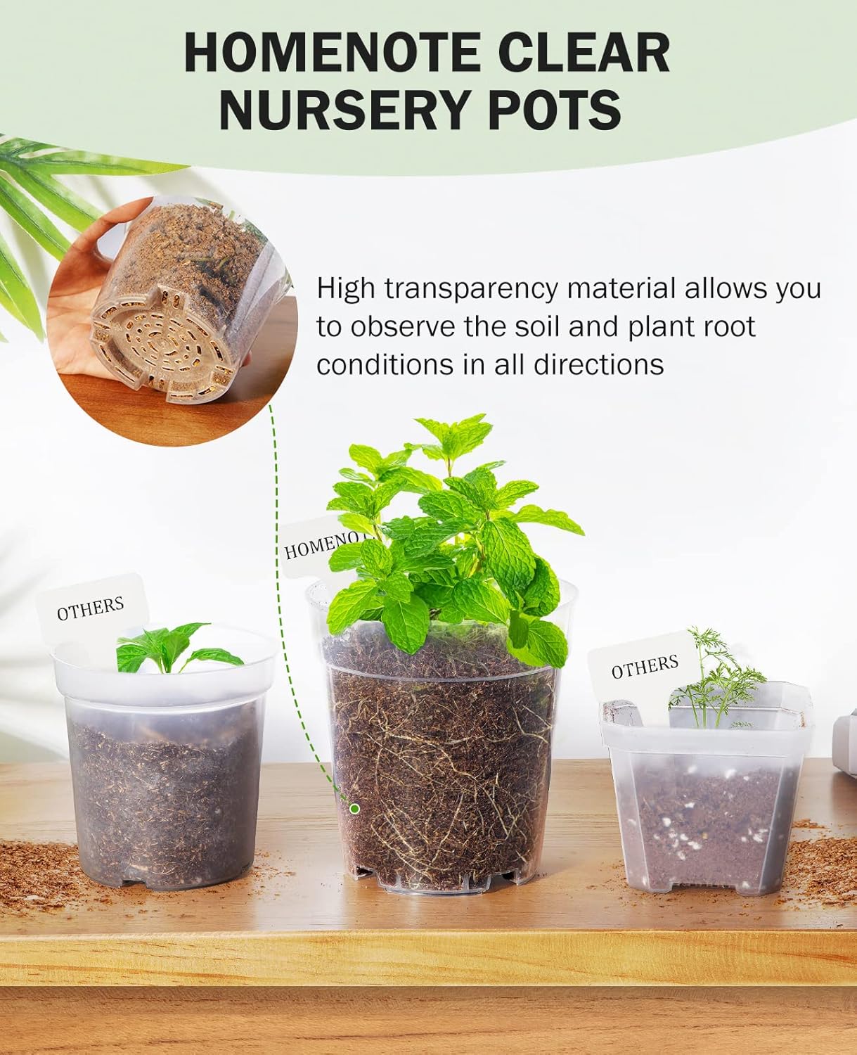 “Homenote 3" Clear Nursery Pots (60 Pack)”